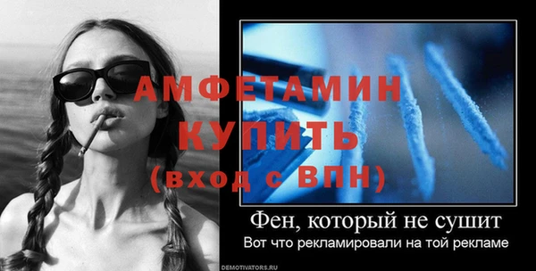 крисы Новокубанск