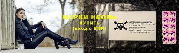 крисы Новокубанск