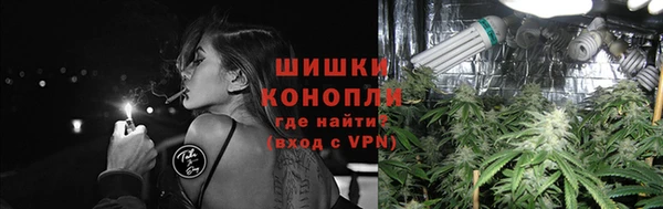 крисы Новокубанск