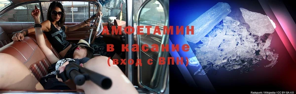 ПСИЛОЦИБИНОВЫЕ ГРИБЫ Новозыбков