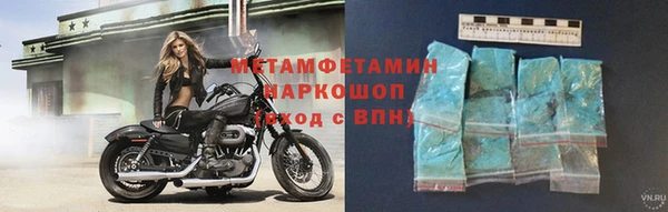 ПСИЛОЦИБИНОВЫЕ ГРИБЫ Новозыбков