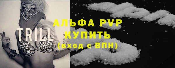 ПСИЛОЦИБИНОВЫЕ ГРИБЫ Новозыбков