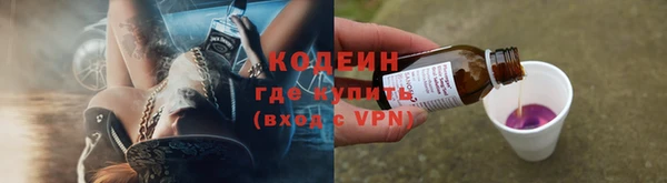 крисы Новокубанск