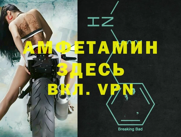 ПСИЛОЦИБИНОВЫЕ ГРИБЫ Новозыбков