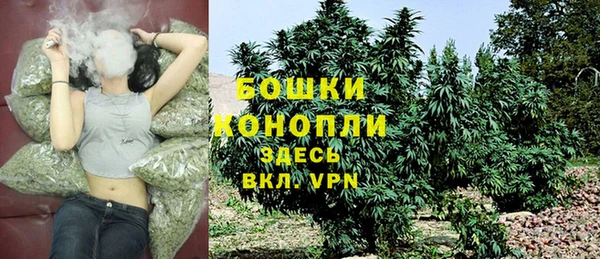 каннабис Новодвинск