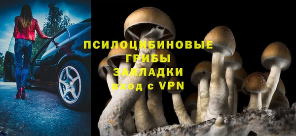 крисы Новокубанск