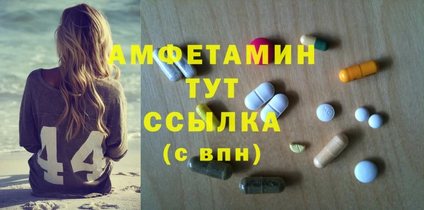 ПСИЛОЦИБИНОВЫЕ ГРИБЫ Новозыбков