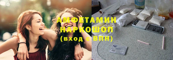 ПСИЛОЦИБИНОВЫЕ ГРИБЫ Новозыбков