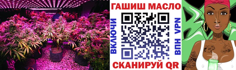 где купить   Благовещенск  ТГК THC oil 